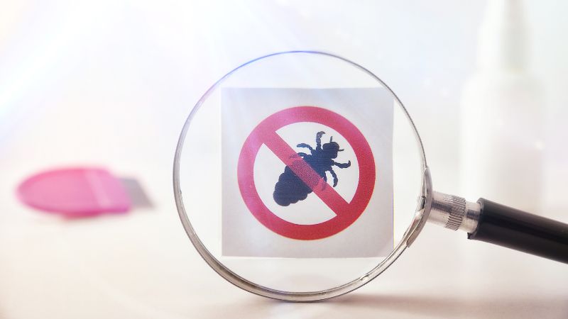 Läuse Wäsche Waschen